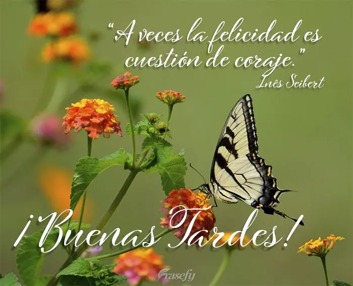 “A veces la felicidad es cuestión de coraje.” ¡Buenas tardes! Inés Seibert