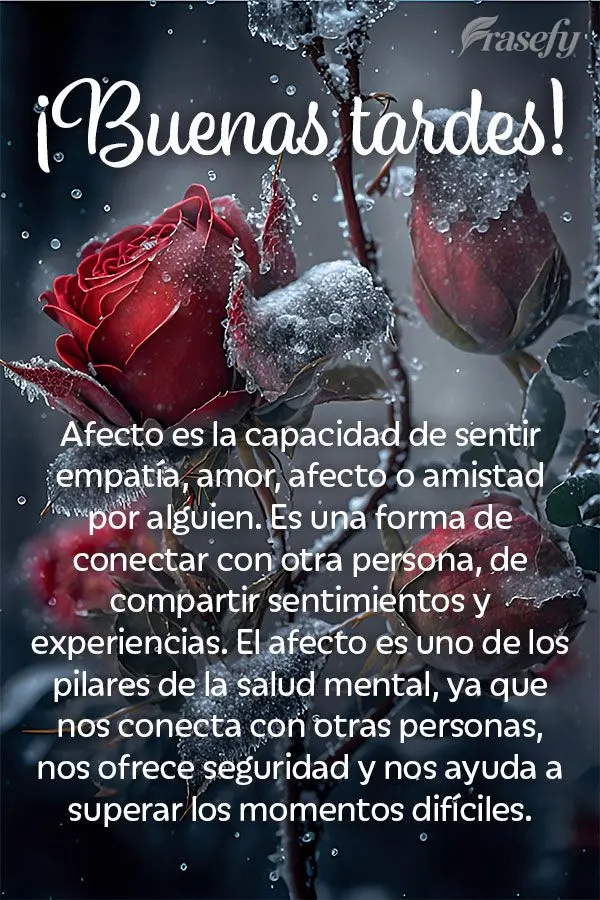 Afecto es la capacidad de sentir empatía, amor, afecto o amistad por alguien. Es una forma de conectar con otra persona, de compartir sentimientos y exp...