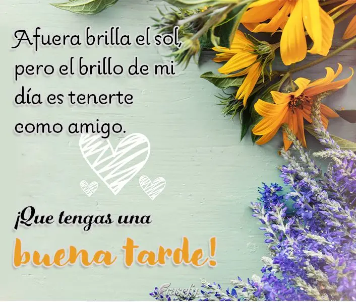 Afuera brilla el sol, pero el brillo de mi día es tenerte como amigo. ¡Que tengas una buena tarde!