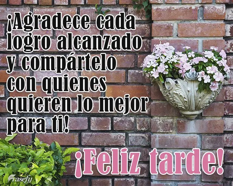 ¡Agradece cada logro alcanzado y compártelo con quienes quieren lo mejor para ti! ¡Feliz tarde!