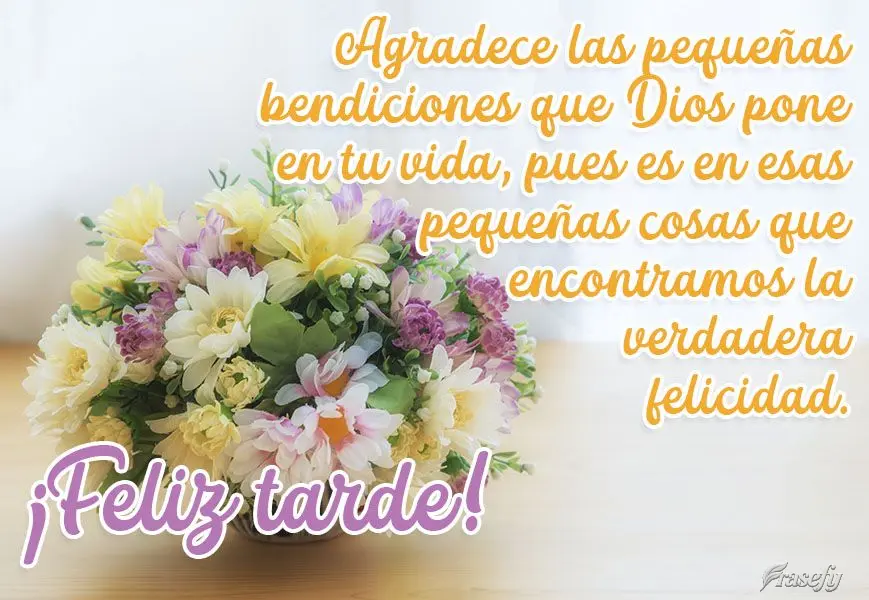 Agradece las pequeñas bendiciones que Dios pone en tu vida, pues es en esas pequeñas cosas que encontramos la verdadera felicidad. ¡Feliz tarde!