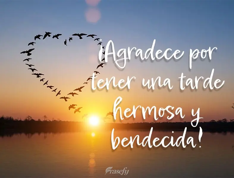 ¡Agradece por tener una tarde hermosa y bendecida!