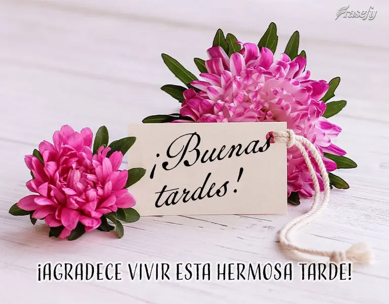 ¡Agradece vivir esta hermosa tarde! ¡Buenas tardes!