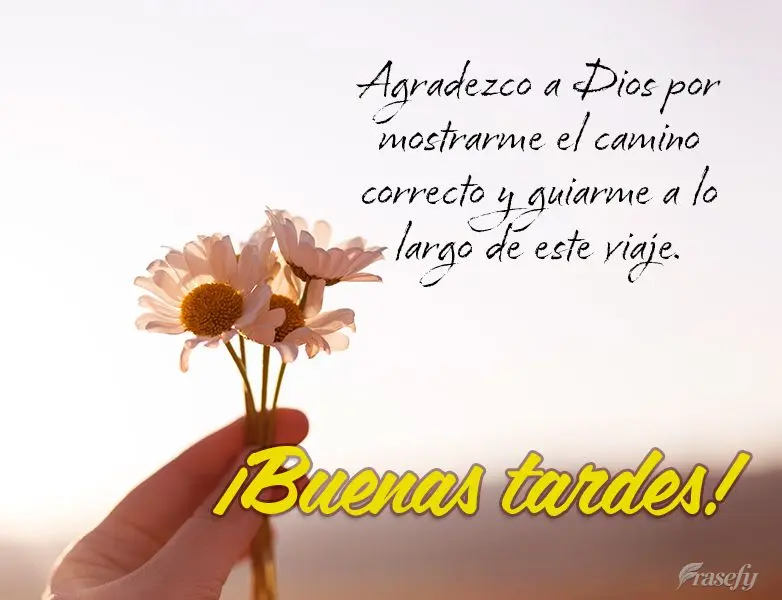 Agradezco a Dios por mostrarme el camino correcto y guiarme a lo largo de este viaje. ¡Buenas tardes!