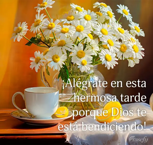 ¡Alégrate en esta hermosa tarde porque Dios te está bendiciendo!