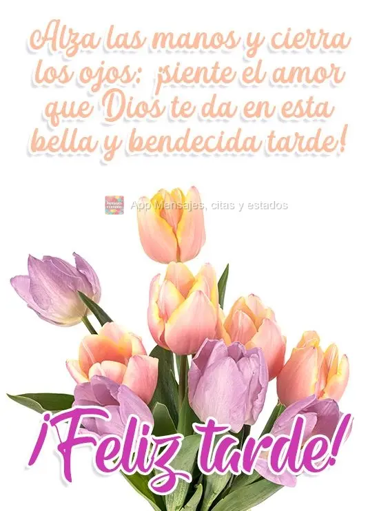 Alza las manos y cierra los ojos: ¡siente el amor que Dios te da en esta bella y bendecida tarde! ¡Feliz tarde!