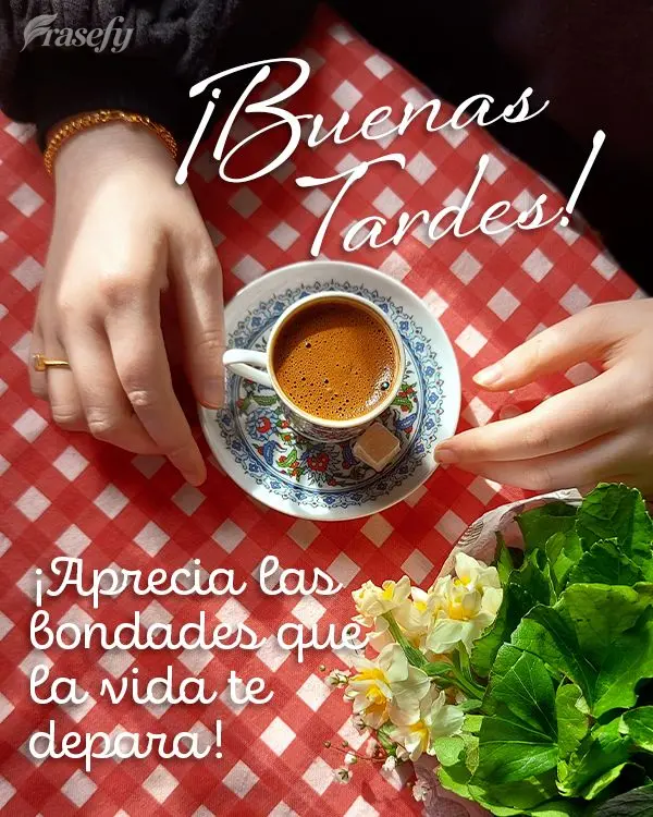 ¡Aprecia las bondades que la vida te depara! ¡Buenas tardes!
