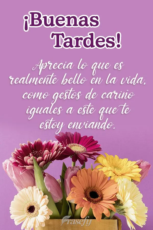 Aprecia lo que es realmente bello en la vida, como gestos de cariño iguales a este que te estoy enviando. ¡Buenas tardes!