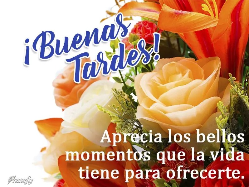Aprecia los bellos momentos que la vida tiene para ofrecerte. ¡Buenas tardes!
