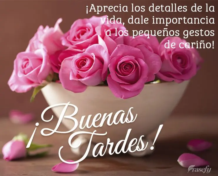 ¡Aprecia los detalles de la vida, dale importancia a los pequeños gestos de cariño! ¡Buenas tardes!