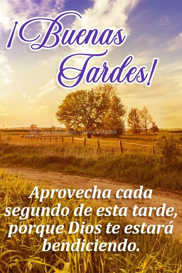 Aprovecha cada segundo de esta tarde, porque Dios te estará bendiciendo. ¡Buenas tardes!
