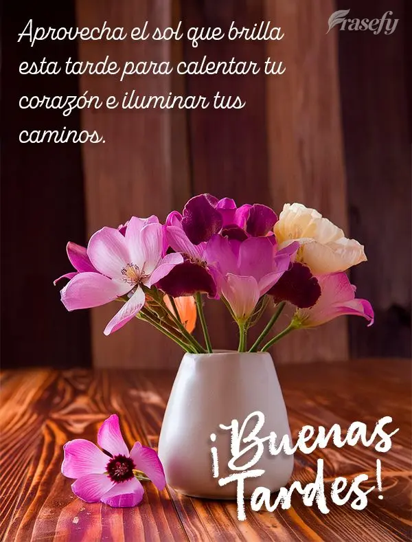 Aprovecha el sol que brilla esta tarde para calentar tu corazón e iluminar tus caminos. ¡Buenas tardes!