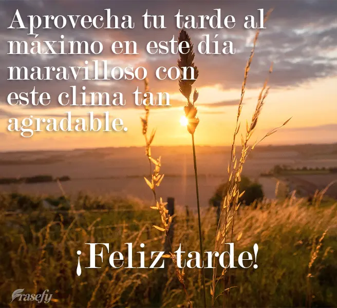 Aprovecha tu tarde al máximo en este día maravilloso con este clima tan agradable. ¡Feliz tarde!