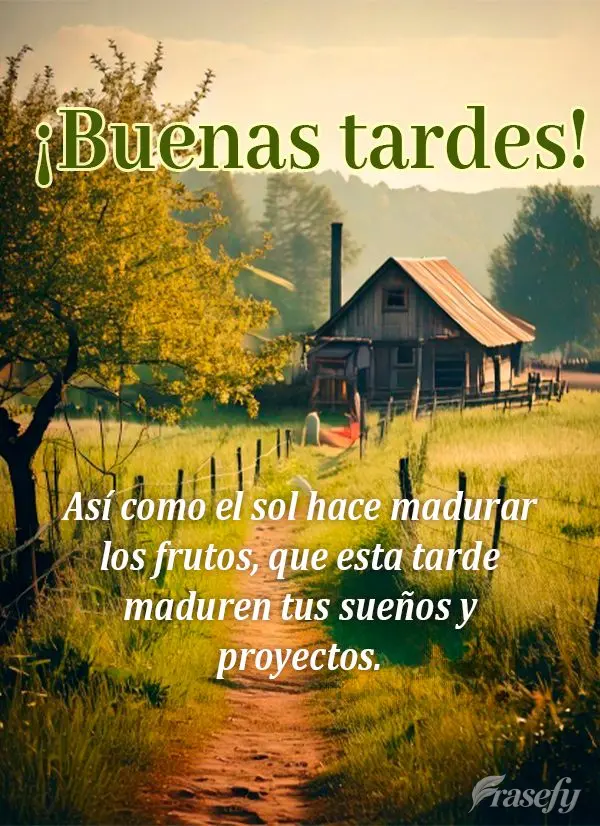 Así como el sol hace madurar los frutos, que esta tarde maduren tus sueños y proyectos. ¡Buenas tardes!