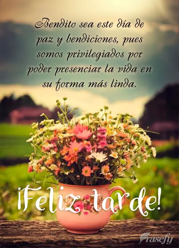 Bendito sea este día de paz y bendiciones, pues somos privilegiados por poder presenciar la vida en su forma más linda. ¡Feliz tarde!