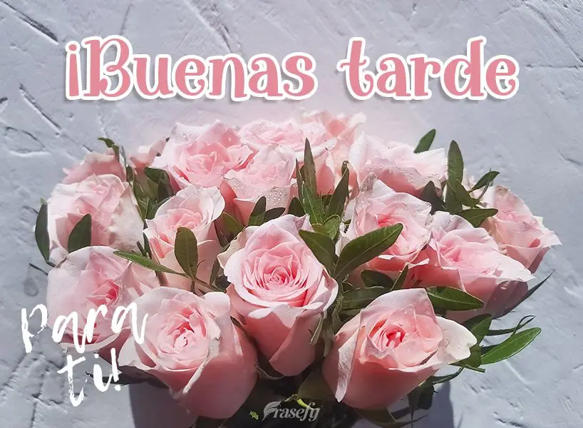¡Buenas tarde para ti!