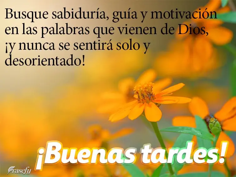 Busque sabiduría, guía y motivación en las palabras que vienen de Dios, ¡y nunca se sentirá solo y desorientado! ¡Buenas tardes!