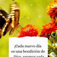 ¡Cada nuevo día es una bendición de Dios, seamos cada momento vivido! ¡Buenas tardes!