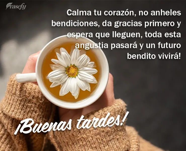 Calma tu corazón, no anheles bendiciones, da gracias primero y espera que lleguen, toda esta angustia pasará y un futuro bendito vivirá! ¡Buenas tard...