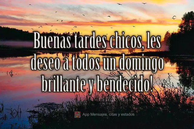 Buenas tardes chicos, les deseo a todos un domingo brillante y bendecido!