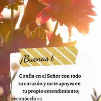 Confía en el Señor con todo tu corazón y no te apoyes en tu propio entendimiento; reconócelo en todos tus caminos, y él enderezará tus veredas. ¡B...