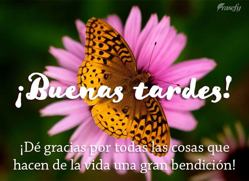 ¡Dé gracias por todas las cosas que hacen de la vida una gran bendición! ¡Buenas tardes!