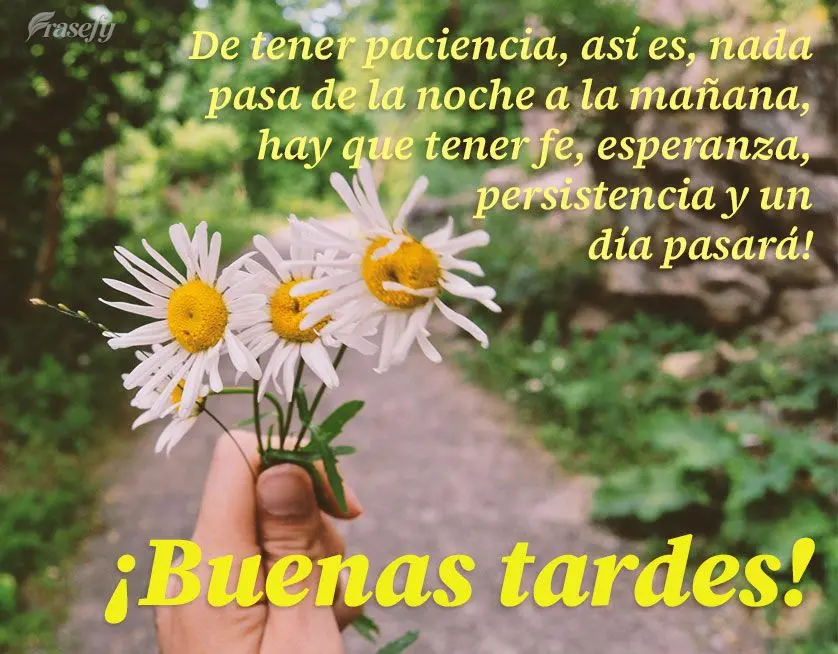 De tener paciencia, así es, nada pasa de la noche a la mañana, hay que tener fe, esperanza, persistencia y un día pasará! ¡Buenas tardes!