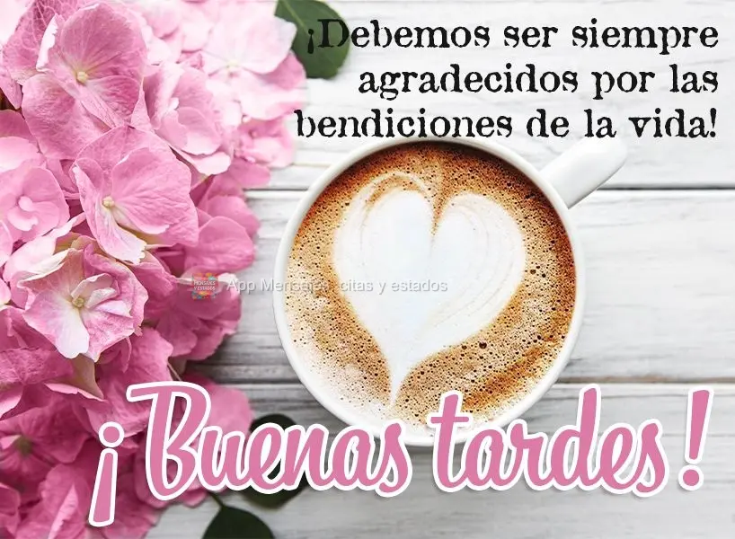 ¡Debemos ser siempre agradecidos por las bendiciones de la vida! ¡Buenas tardes!