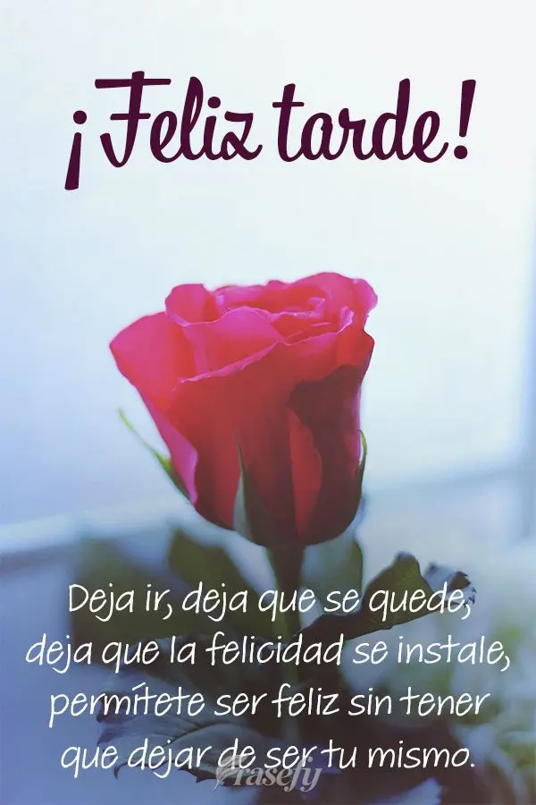 Deja ir, deja que se quede, deja que la felicidad se instale, permítete ser feliz sin tener que dejar de ser tu mismo. ¡Buenas tardes!
