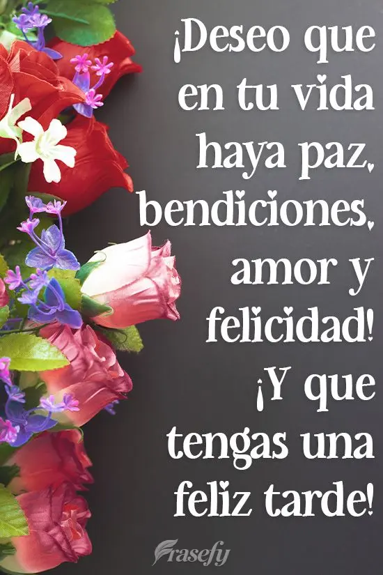¡Deseo que en tu vida haya paz, bendiciones, amor y felicidad! ¡Y que tengas una feliz tarde!