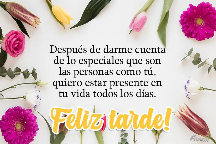 Después de darme cuenta de lo especiales que son las personas como tú, quiero estar presente en tu vida todos los días. ¡Feliz tarde!