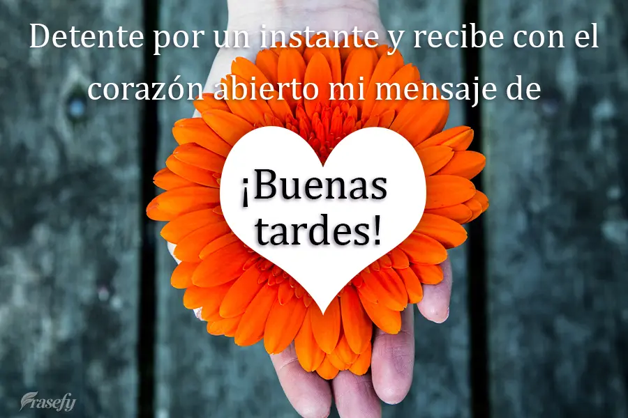 Detente por un instante y recibe con el corazón abierto mi mensaje de ¡Buenas tardes!
