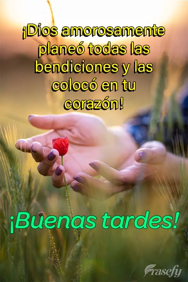¡Dios amorosamente planeó todas las bendiciones y las colocó en tu corazón! ¡Buenas tardes!