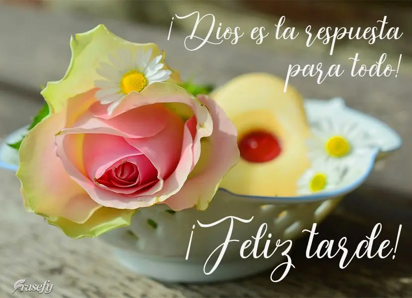 ¡Dios es la respuesta para todo! ¡Feliz tarde!