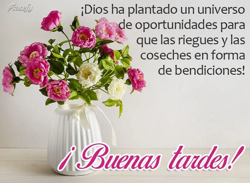 ¡Dios ha plantado un universo de oportunidades para que las riegues y las coseches en forma de bendiciones! ¡Buenas tardes!