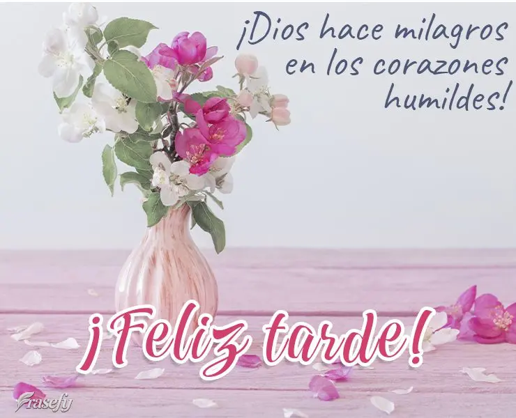¡Dios hace milagros en los corazones humildes! ¡Feliz tarde!