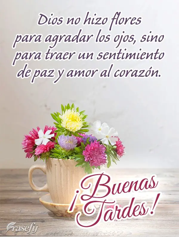 Dios no hizo flores para agradar los ojos, sino para traer un sentimiento de paz y amor al corazón. ¡Buenas tardes!