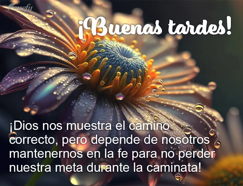 ¡Dios nos muestra el camino correcto, pero depende de nosotros mantenernos en la fe para no perder nuestra meta durante la caminata! ¡Buenas tardes!