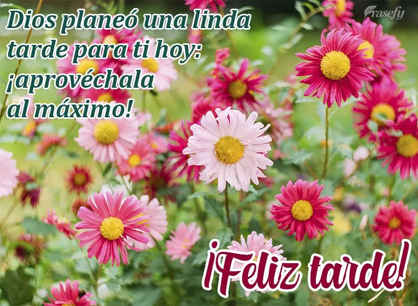 Dios planeó una linda tarde para ti hoy: ¡aprovéchala al máximo! ¡Feliz tarde!