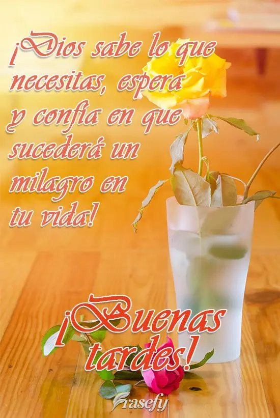 ¡Dios sabe lo que necesitas, espera y confía en que sucederá un milagro en tu vida! ¡Buenas tardes!