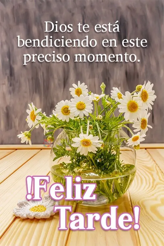 Dios te está bendiciendo en este preciso momento. ¡Feliz tarde!