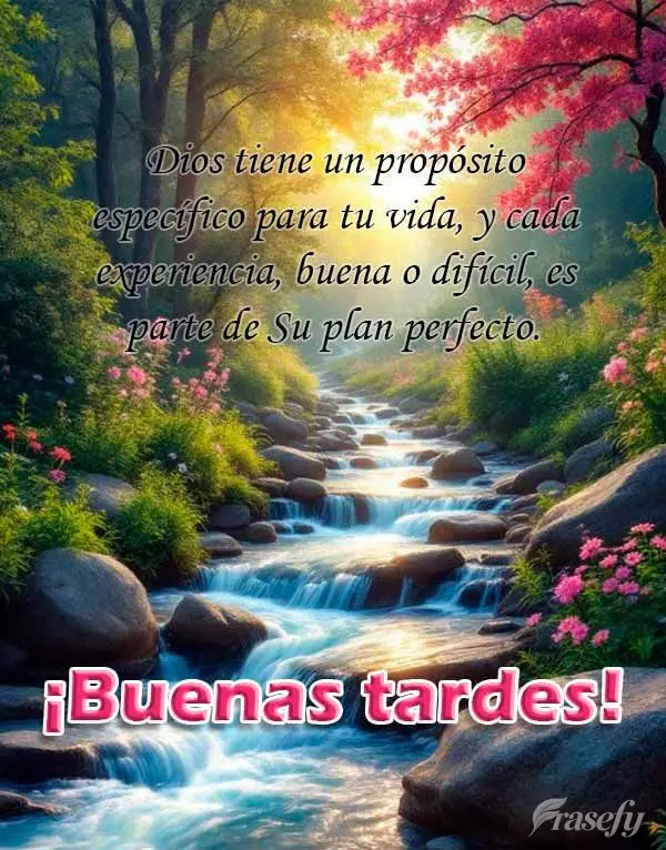 Dios tiene un propósito específico para tu vida, y cada experiencia, buena o difícil, es parte de Su plan perfecto. ¡Buenas tardes!