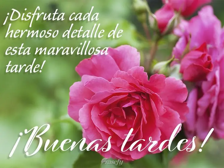 ¡Disfruta cada hermoso detalle de esta maravillosa tarde! ¡Buenas tardes!