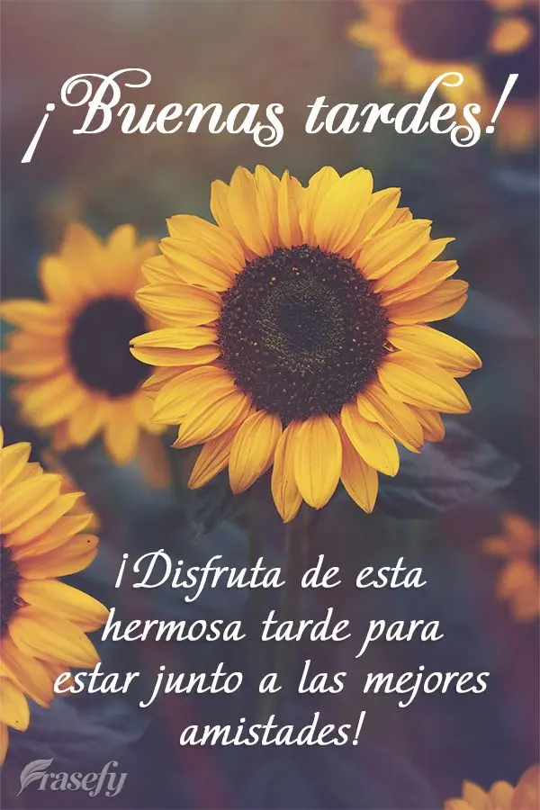 ¡Disfruta de esta hermosa tarde para estar junto a las mejores amistades! ¡Buenas tardes!