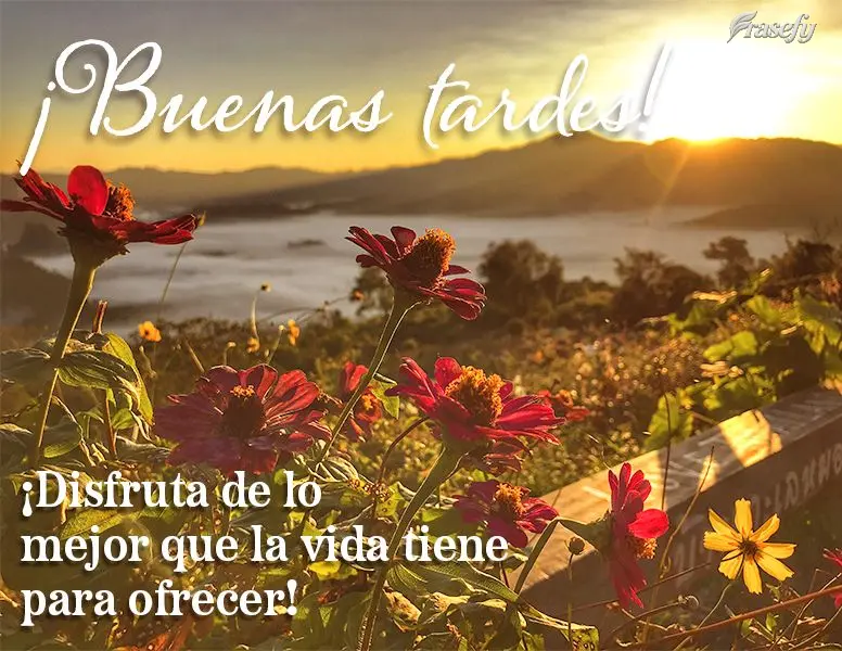 ¡Disfruta de lo mejor que la vida tiene para ofrecer! ¡Buenas tardes!