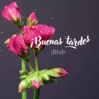 ¡Disfruta de los pequeños detalles llenos de cariño y amor! ¡Buenas tardes!