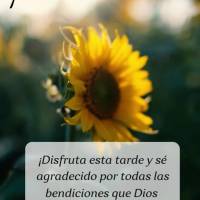 ¡Disfruta esta tarde y sé agradecido por todas las bendiciones que Dios te ha dado! ¡Buenas tardes!
