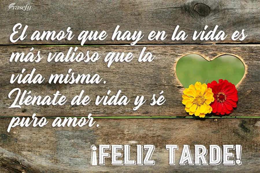 El amor que hay en la vida es más valioso que la vida misma. Llénate de vida y sé puro amor. ¡Feliz tarde!