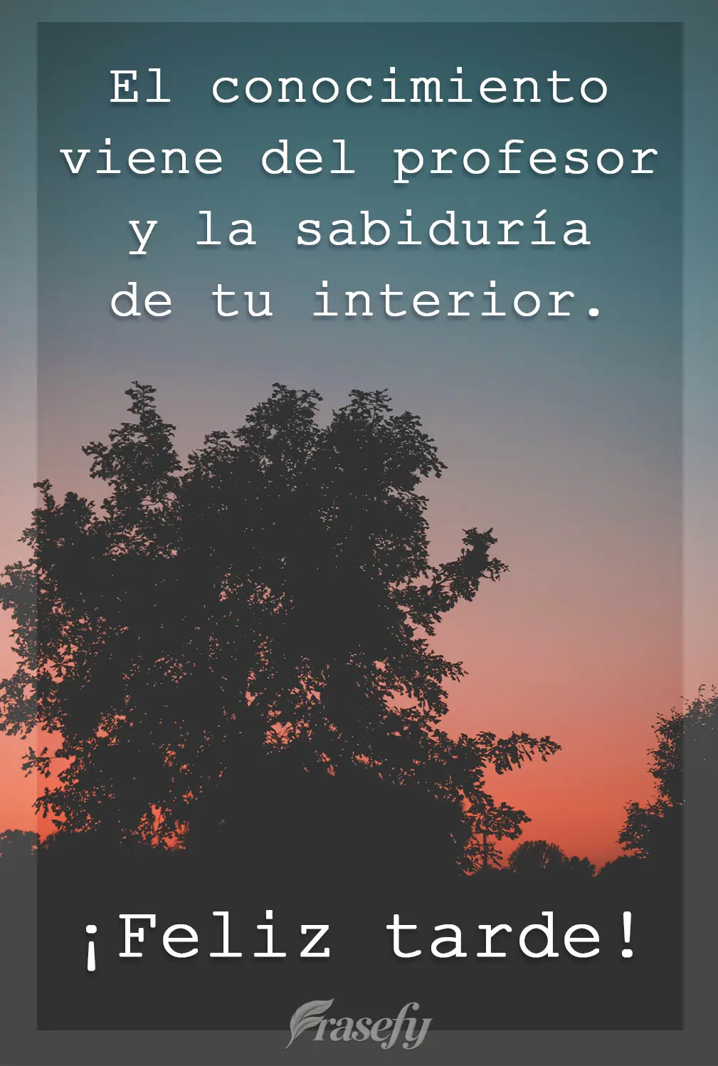 El conocimiento viene del profesor y la sabiduría de tu interior. ¡Feliz tarde!