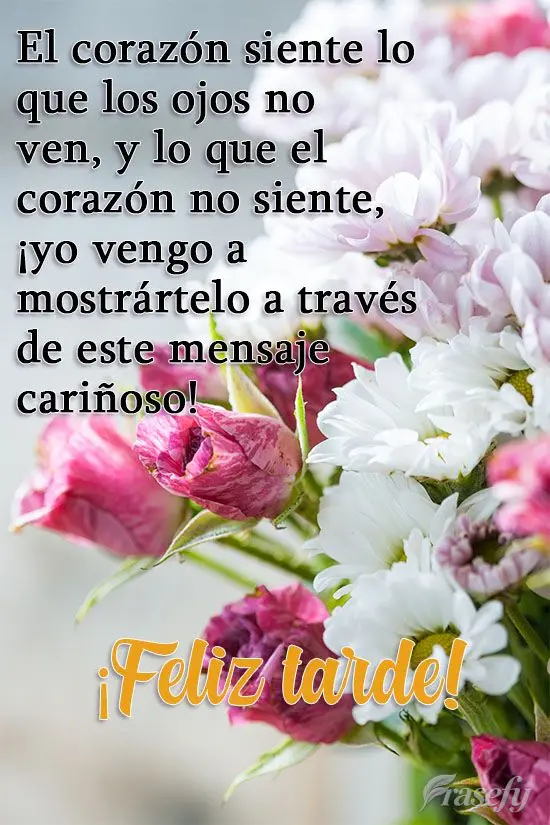 El corazón siente lo que los ojos no ven, y lo que el corazón no siente, ¡yo vengo a mostrártelo a través de este mensaje cariñoso! ¡Feliz tarde!...